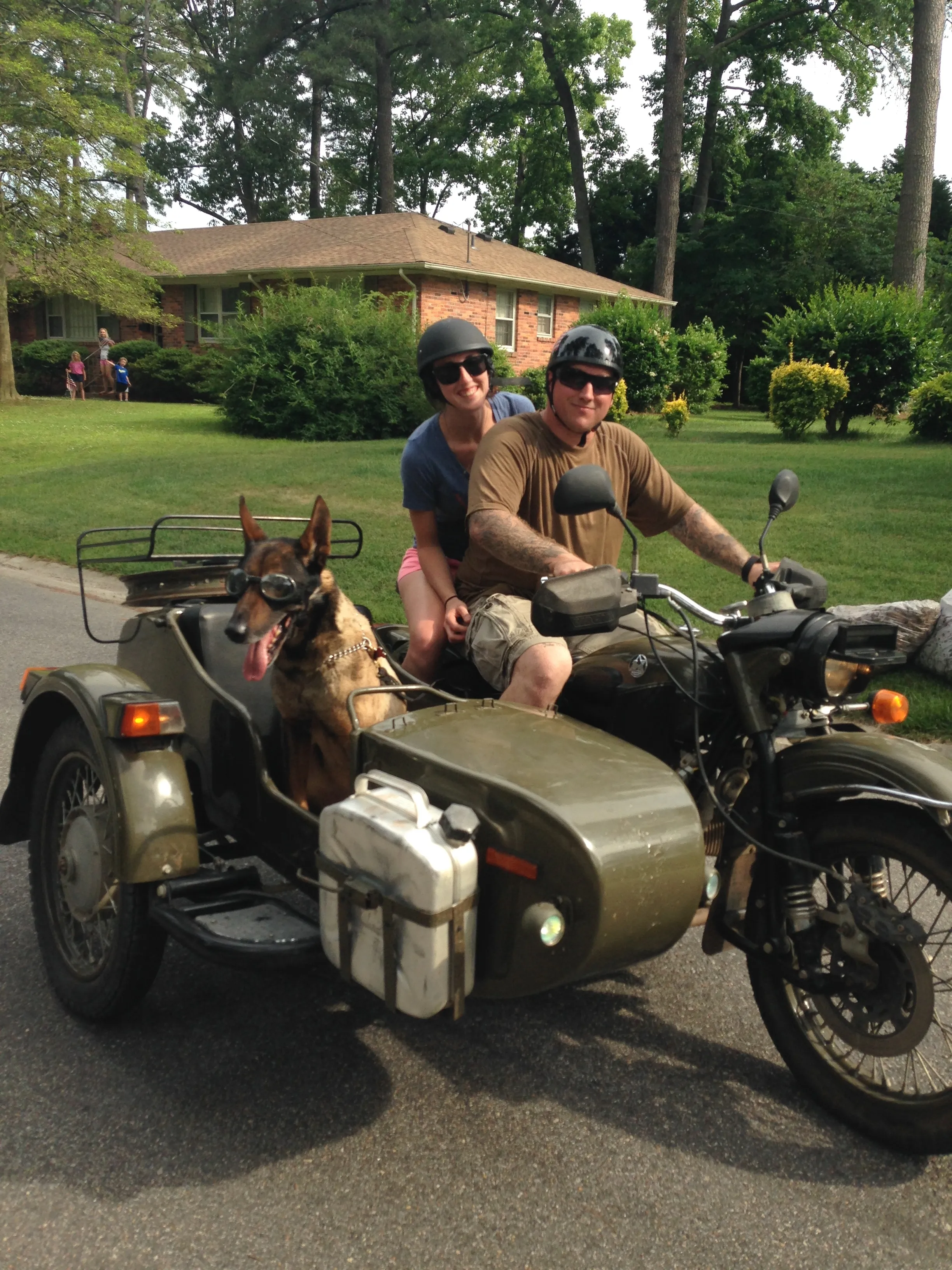 Cairo: The Elite Military Working Dog