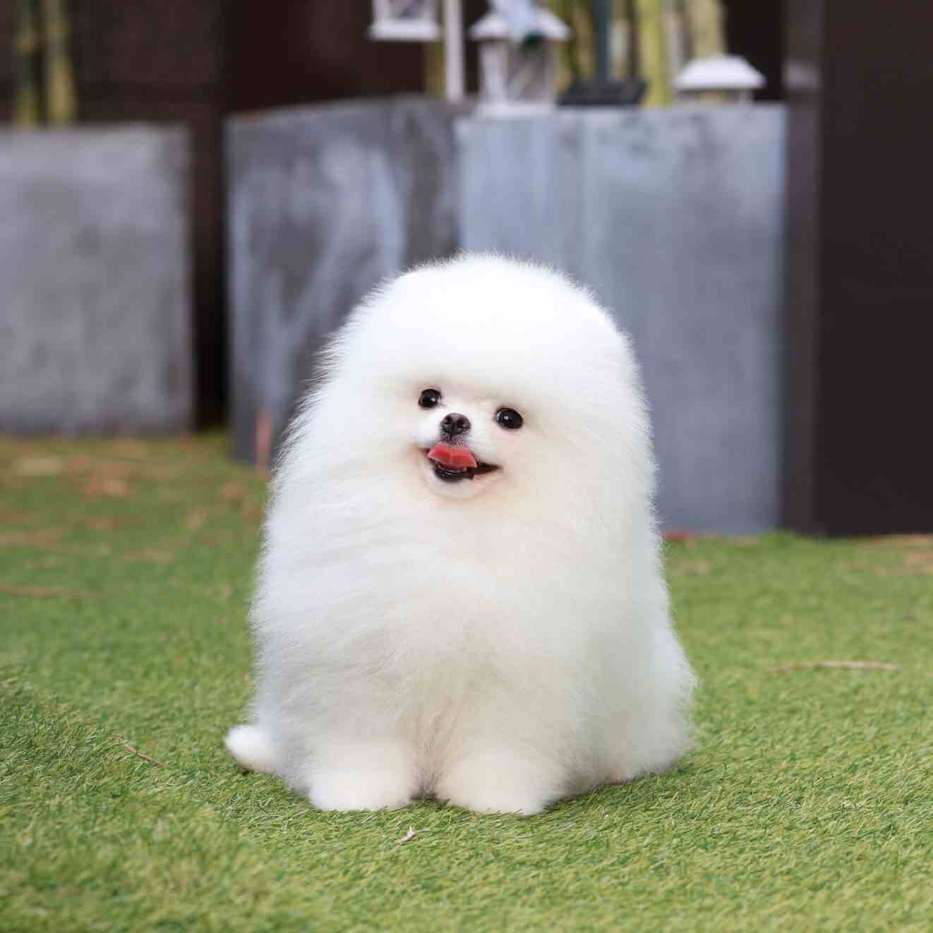 TINNY