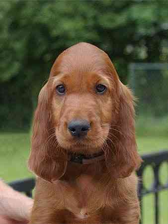 TILLY